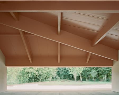 Under the Pink Roof